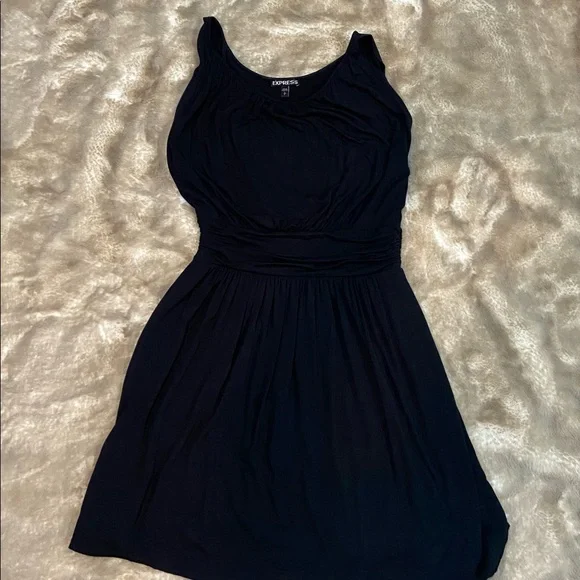 Express Women’s Lined Dress Size Small - Picture 1 of 5